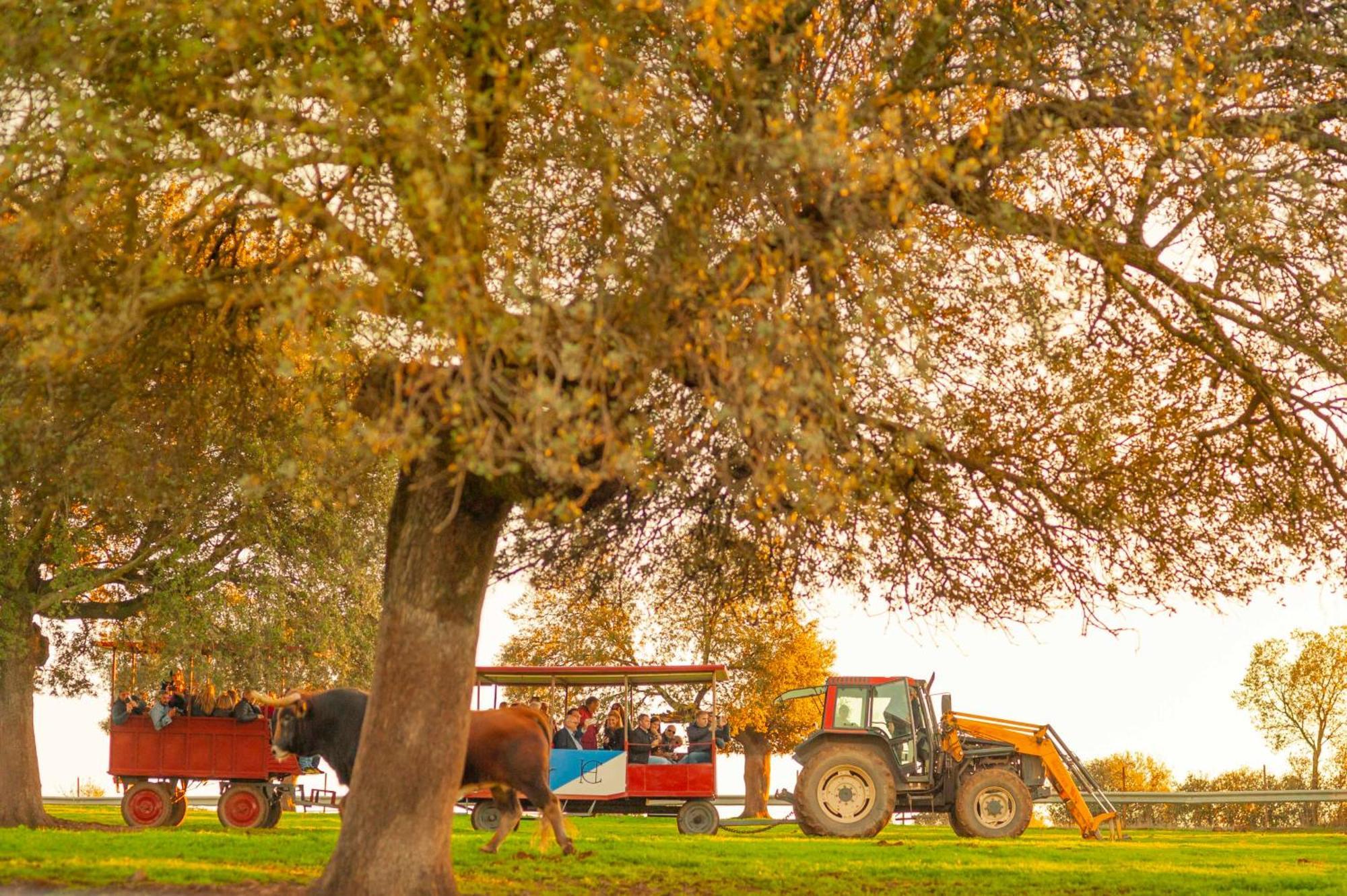 Finca El Cotillo Linares  Luaran gambar